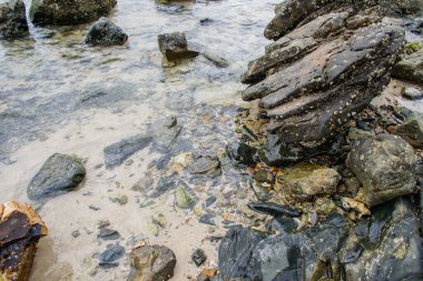 kayalık deniz kıyısında