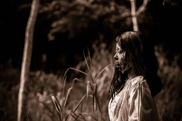 Ritratto Donna Asiatica Compongono Volto Del Fantasma Con Sangue Scena — Foto Stock