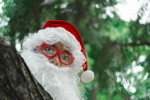 Portrait of Santa Claus on bokeh light under tree, Merry christmas concept