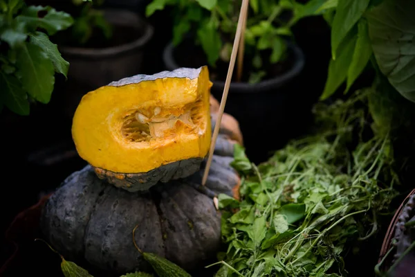 Pumkin Cut Vegetable Gardening Low Key Dark Selective Focus — ストック写真