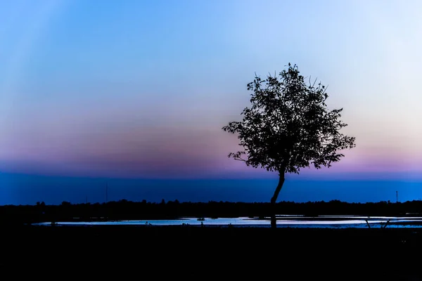 Fantastik Gün Batımı Arkaplanı — Stok fotoğraf