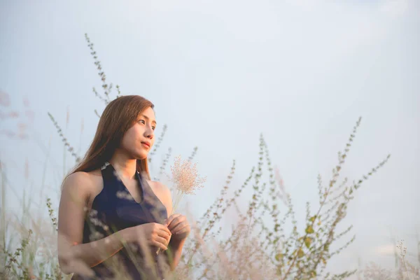 Schönes Mädchen Auf Dem Blumenfeld Bei Sonnenuntergang Weicher Fokus Grasblumen — Stockfoto