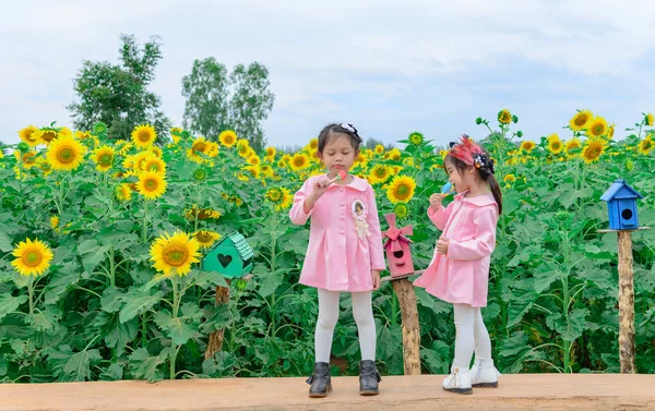 Twee Kinderen Die Ijs Eten Een Zonnebloemenveld Een Zonnige Dag — Stockfoto