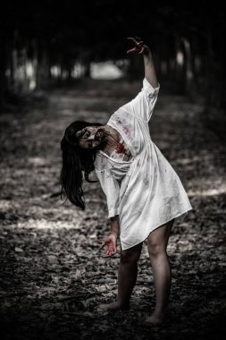 Asyalı kadın portresi hayalet yüzü, korku sahnesi, korkunç arka plan, Cadılar Bayramı posteri.