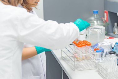 Deney öncesi raftaki tüpten alınan örnekleri inceleyen bilim adamı iki bilim adamı deney planı hakkında görüşlerini bildirdi.