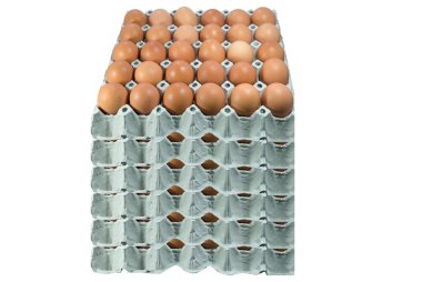 Panel makro görünümünde yumurtalar