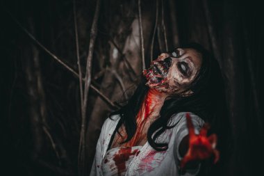 Asyalı kadın portresi hayalet yüzü, korku sahnesi, korkunç arka plan, Cadılar Bayramı posteri.