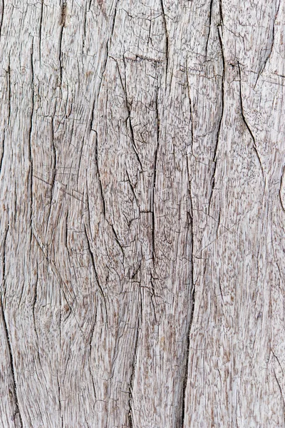 Pelle Legno Texture Sfondo Macro Vista — Foto Stock