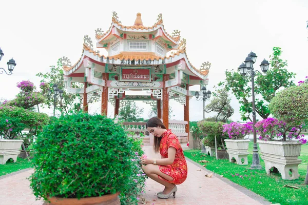 Heureux Nouvel Chinois Femme Asiatique Portant Des Vêtements Traditionnels Cheongsam — Photo