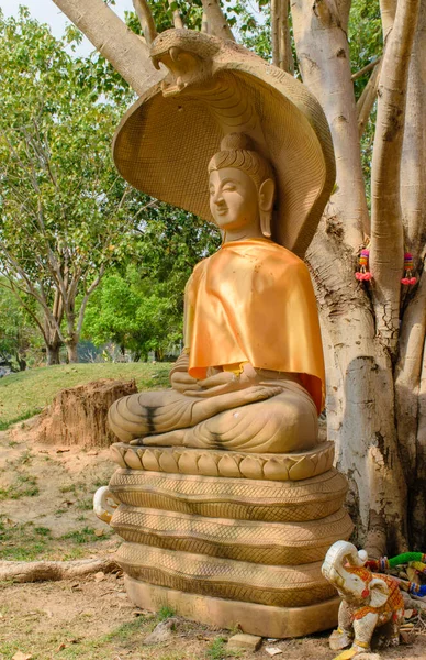 Vista Panorâmica Majestosa Escultura Buddha — Fotografia de Stock