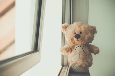 Yalnız oyuncak ayı klasiği