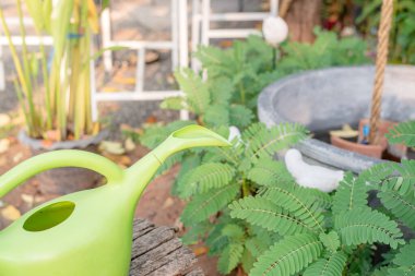 Bahçedeki bahçe aletleri..