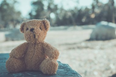 Ayı bebek yalnız oturur, klasik tarzda.