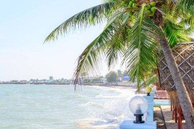 Sahilde güzel genç bir çift