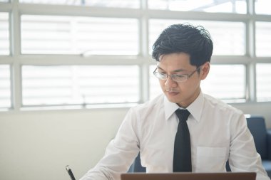 Genç iş adamları ofiste çalışıyor, aydınlık oda, güneşli gün, parlak hava