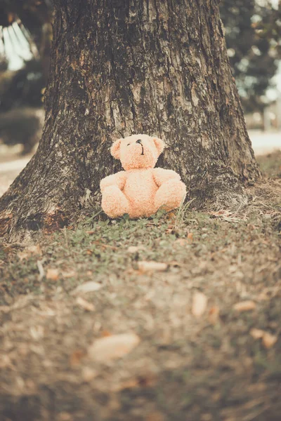 Sozinho Urso Boneca Muito Triste Sozinho Solitário — Fotografia de Stock