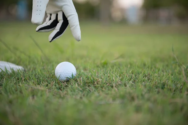 Cerca Mano Del Golfista Puso Golf Hierba Tailandia Personas —  Fotos de Stock