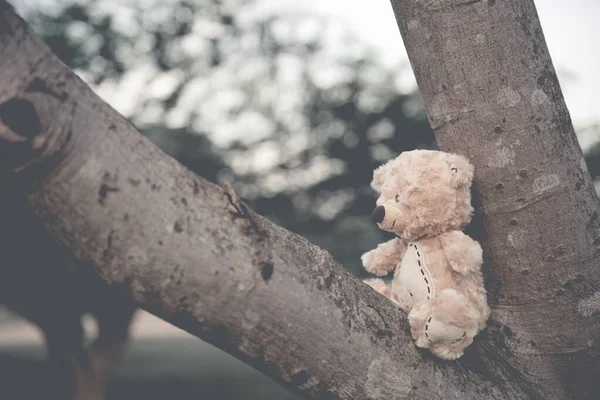 Alone Teddy Bear Out Door Vintage Dark Tone Style — Stock Photo, Image