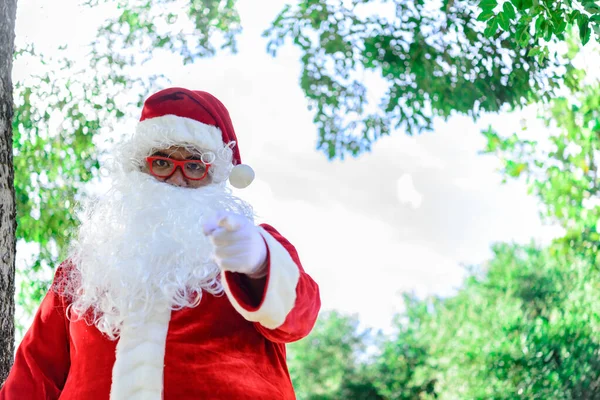 Porträtt Tomten Parken God Jul Koncept — Stockfoto