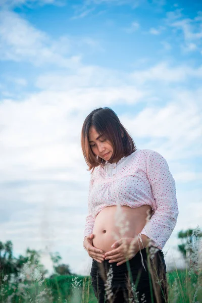 Ritratto Bella Donna Incinta Sul Campo — Foto Stock