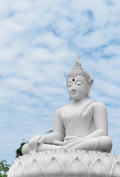 Vista Panoramica Maestosa Scultura Buddha — Foto Stock