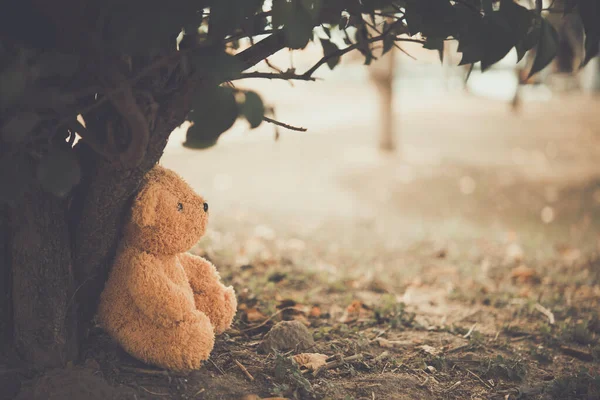 Alone bear doll,very sad,alone,lonely