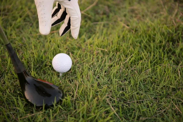 高尔夫球手的手靠得很近 把高尔夫放在草地上 泰国人 — 图库照片