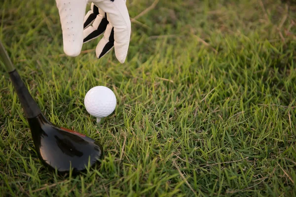 Cerca Mano Del Golfista Puso Golf Hierba Tailandia Personas —  Fotos de Stock