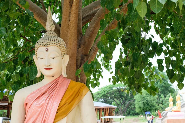 Buddha Staty Solig Dag — Stockfoto