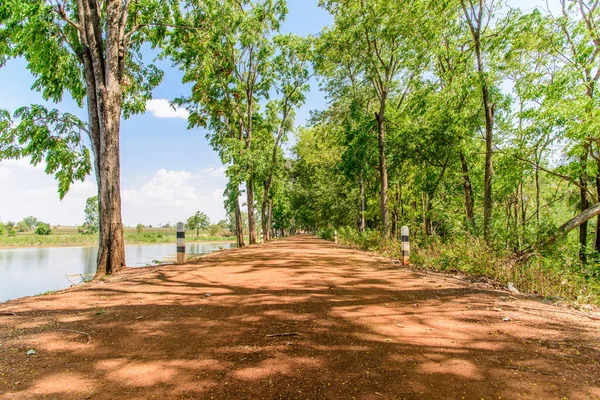 Camino Bosque Naturaleza Paisaje — Foto de Stock