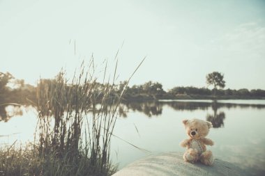 Yalnız oyuncak ayı, klasik esmer tonda.