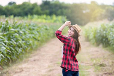 Mısır çiftliğindeki Asyalı neşeli kadın çiftçi Taylandlı çiftçilerin tarımsal ürün kontrolü, hasat mevsimine yakın.