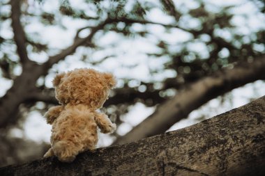 Yalnız oyuncak ayı, klasik esmer tonda.