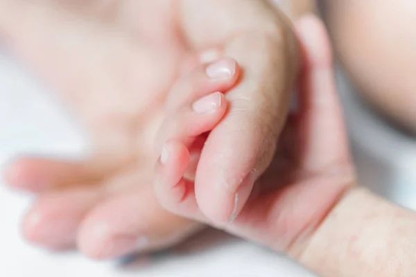 Gros Plan Mains Bébé Attraper Main Maman Foyer Doux — Photo