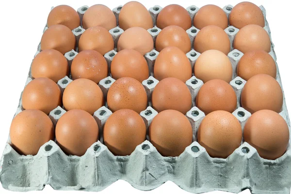 Close Fresh Eggs Panel Sale — Stock Photo, Image