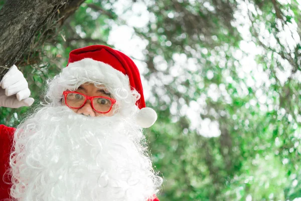 Porträt Des Weihnachtsmannes Auf Bokeh Licht Unter Dem Baum Frohe — Stockfoto