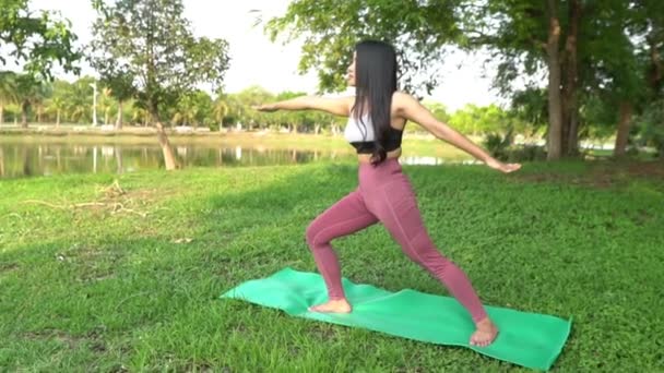 Asiatique Jeune Femme Pratiquant Yoga Dans Parc Journée — Video