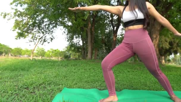 Asiatique Jeune Femme Pratiquant Yoga Dans Parc Journée — Video