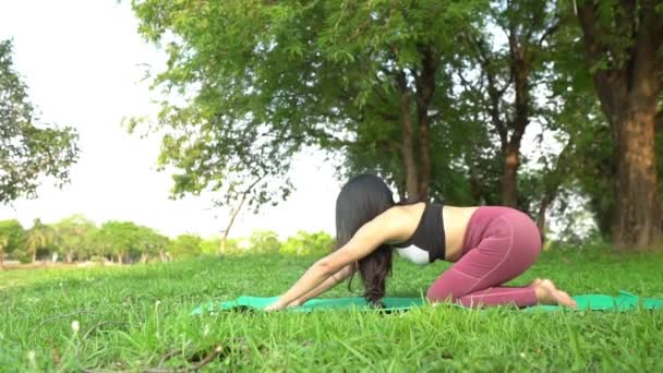Asiatique Jeune Femme Pratiquant Yoga Dans Parc Journée — Video