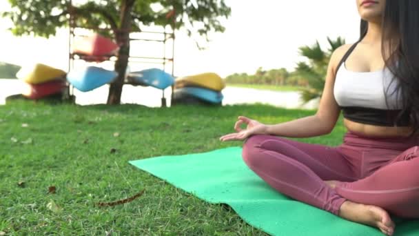 Asiatische Junge Frau Praktiziert Tagsüber Yoga Park — Stockvideo