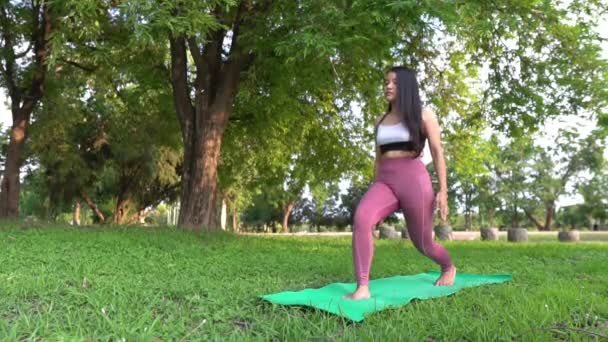 Asian Young Woman Practicing Yoga Park Daytime — Stock Video