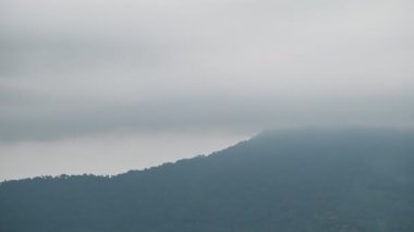 Gündüz vakti sis kaplı dağ manzarası