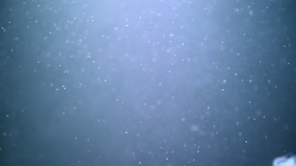 물고기는 어두운 물에서 헤엄치고 — 비디오