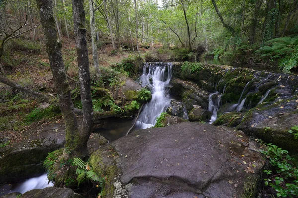 Pozo Ferida Viveiro Galiçya Nın Harika Şelaleleri — Stok fotoğraf