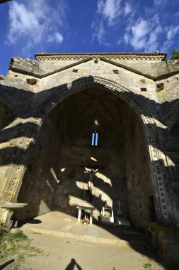 Albario Rias Baixas beyaz şarap sarmaşıkları.