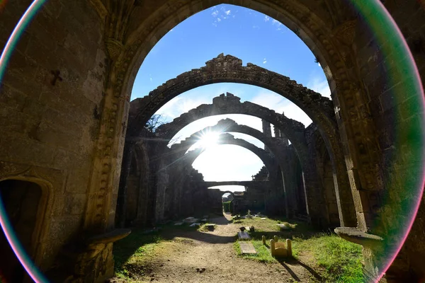 Albario Rias Baixas beyaz şarap sarmaşıkları.