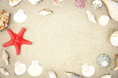 Seashells kum plaj yaz arka plan.