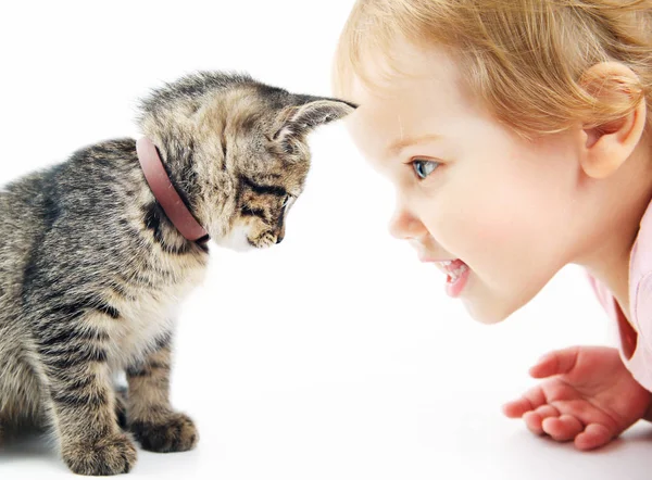 Child with pet portrait on white background.Kid and kitten. — Stock Photo, Image