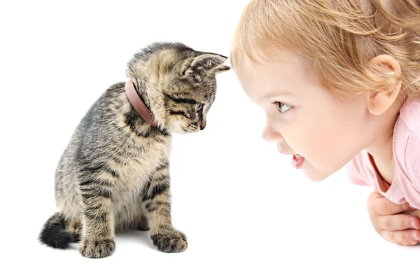 Bambino ragazza e gattino ritratto isolato, gatto animale domestico . Immagine Stock