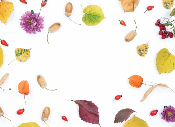 Otoño hojas de colores brillantes sobre fondo blanco espacio vacío fr — Foto de Stock